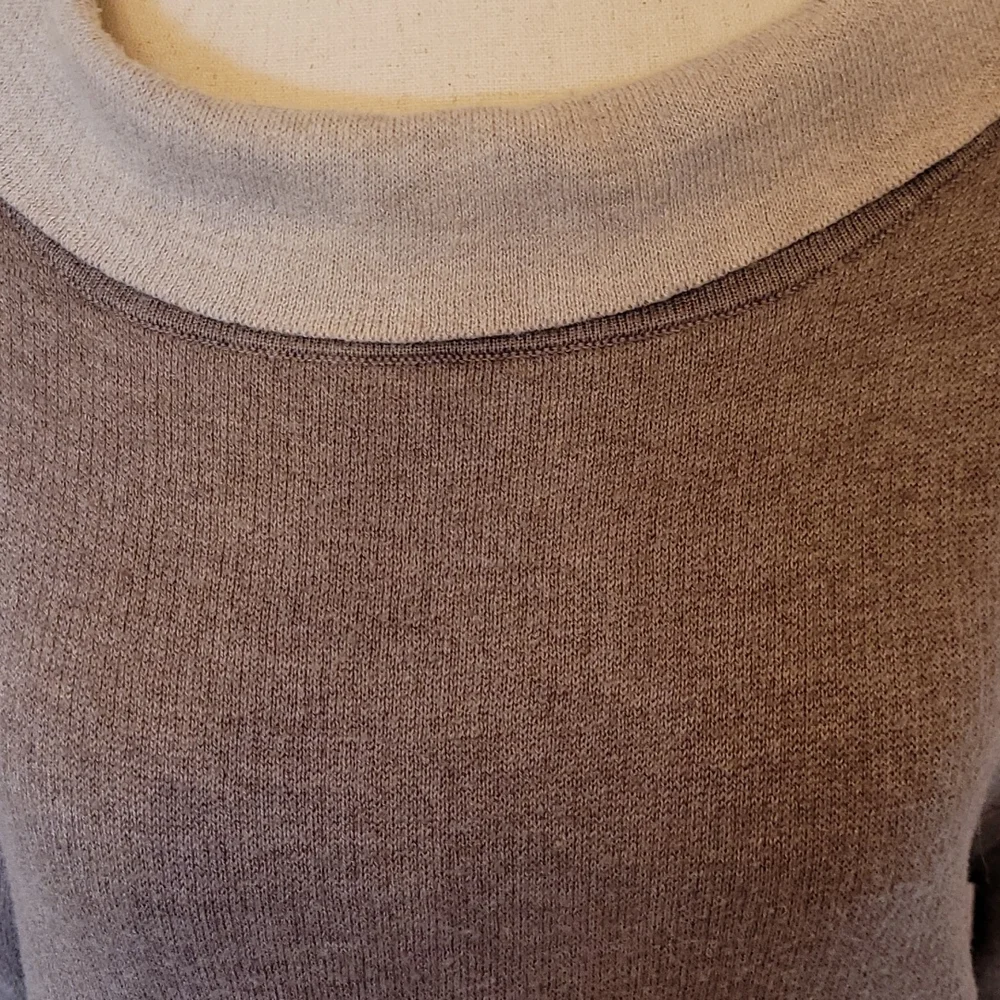 NWOT ADRIENNE VITTADINI oatmeal dress - Picture 3 of 7